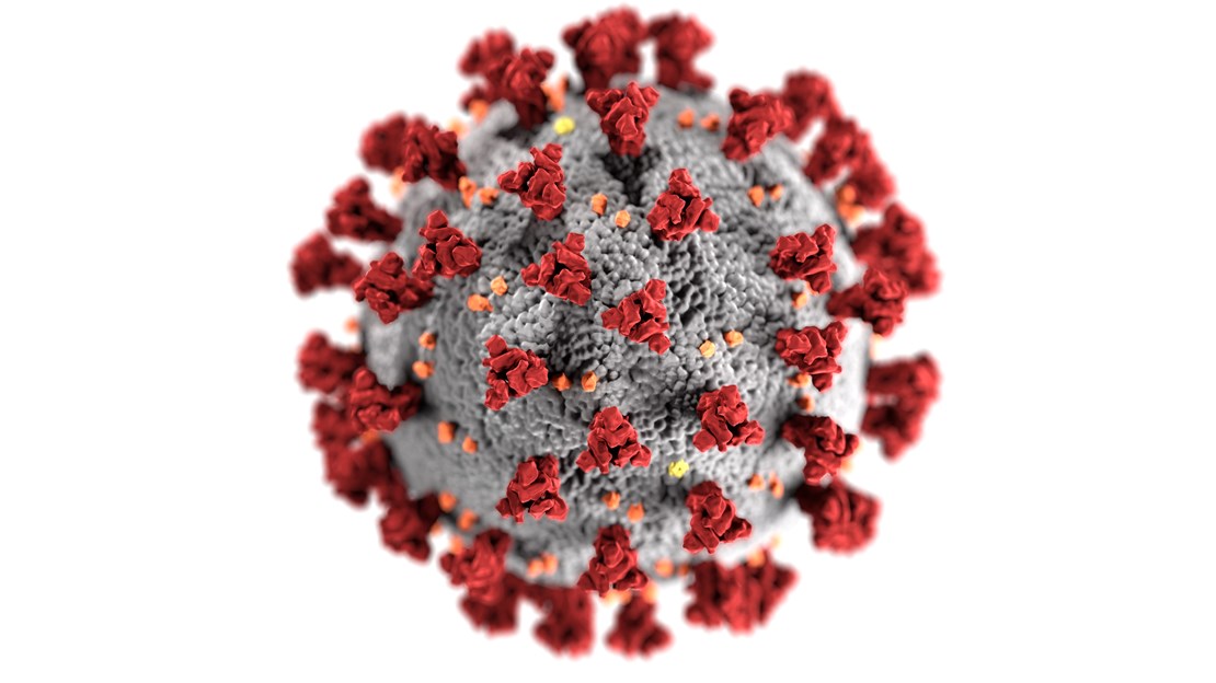 Header image for the current page Maintaining service delivery throughout the coronavirus epidemic