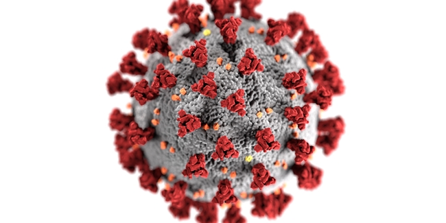 A selected image which represents the Maintaining service delivery throughout the coronavirus epidemic item