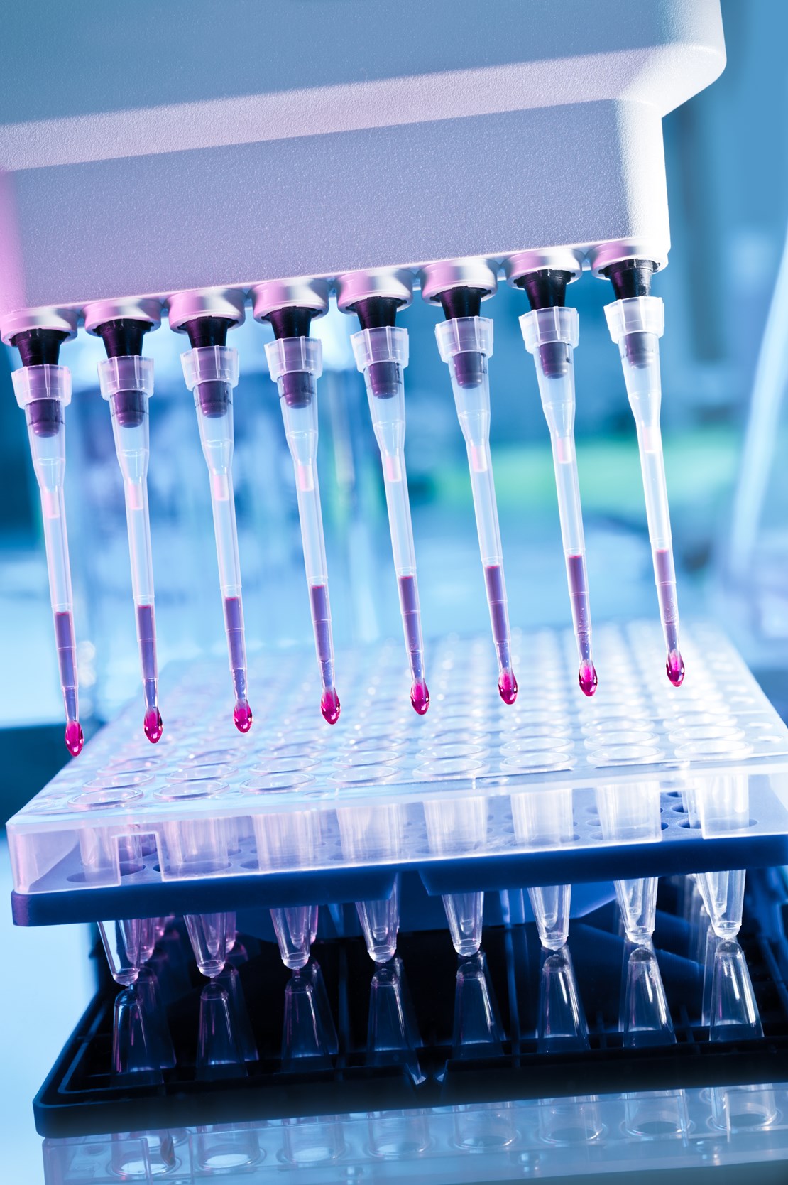 Header image for the current page Building better cancer care together: the Life Science Hub… our story so far